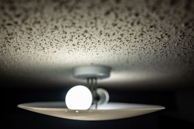 Popcorn Ceiling Removal Cost — Cost of Popcorn Ceiling Removal